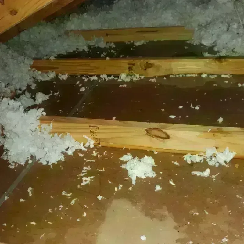 Attic Water Damage in Apison, TN